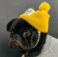 d03-Ing-Dog-Hat.jpg